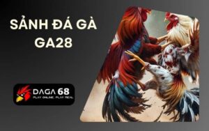 Sảnh đá gà GA28