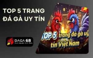 Top 5 trang đá gà uy tín